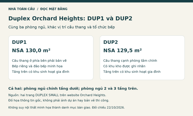 Đồ họa minh họa so sánh DUP1 và DUP2 tại Orchard Heights: diện tích NSA, vị trí cầu thang, kho và bếp.